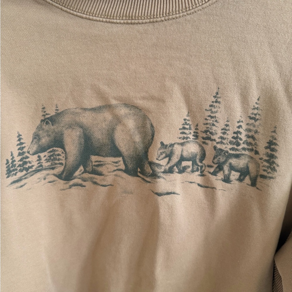 American Eagle Bear Graphic Mock Neck Sweatshirt - Picture 2 of 5